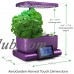 AeroGarden Harvest Touch, Eggplant with Gourmet Herbs Seed Pod Kit   568930993